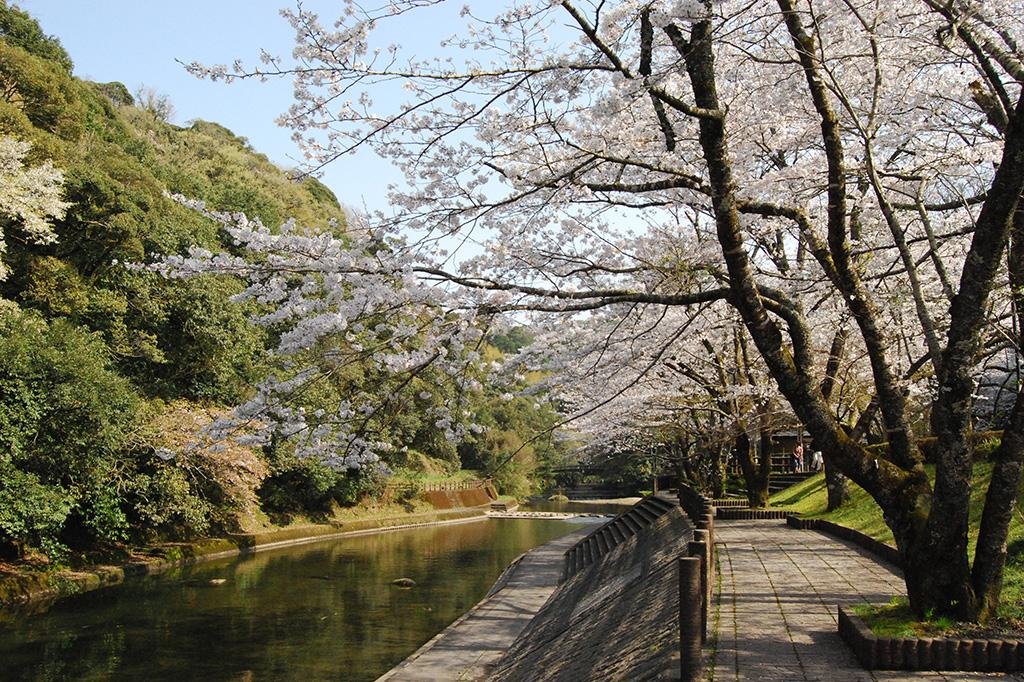 👑 아이 산 위 능 (아이란 산료) 이미지 10